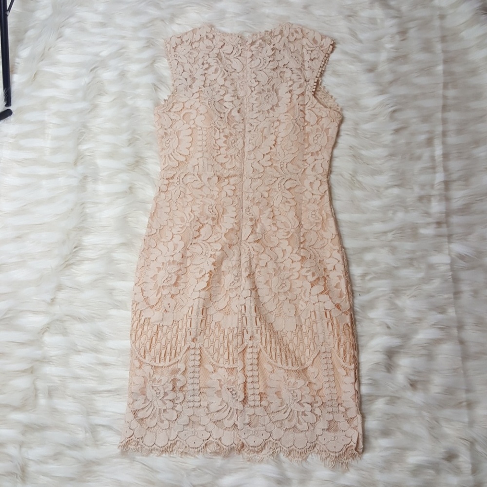 Nwt  Blush Crochet Lace Dress - Picture 2 of 2